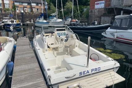 Sea Pro 190 Walk Around