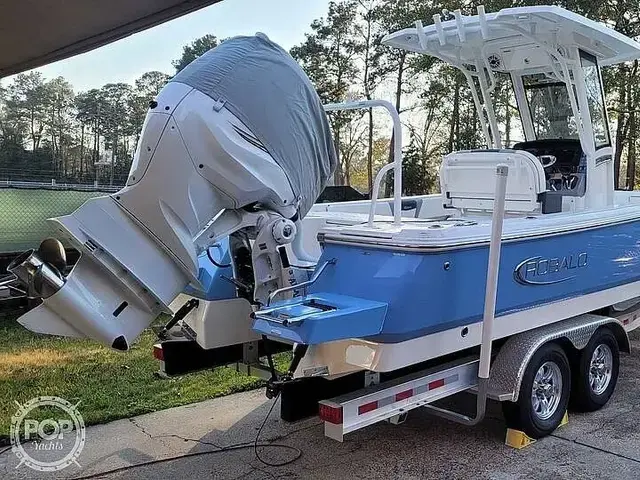 Robalo CAYMAN 266