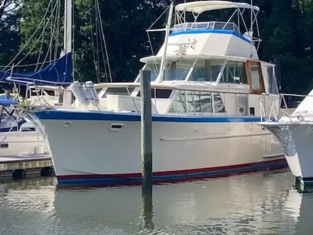 Hatteras 48 Yacht Fish