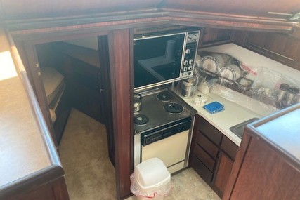 Hatteras 48 Yacht Fish