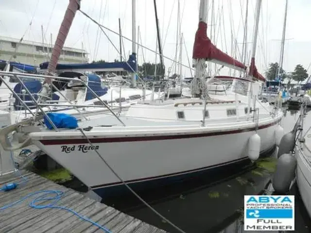 Westerly Solway 36