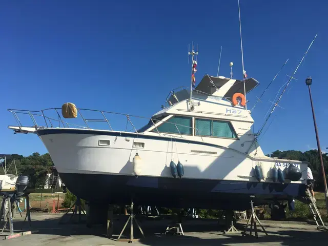 Hatteras 37