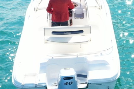 Ranieri 600 AZZURRA