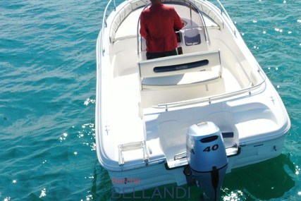 Ranieri 600 AZZURRA