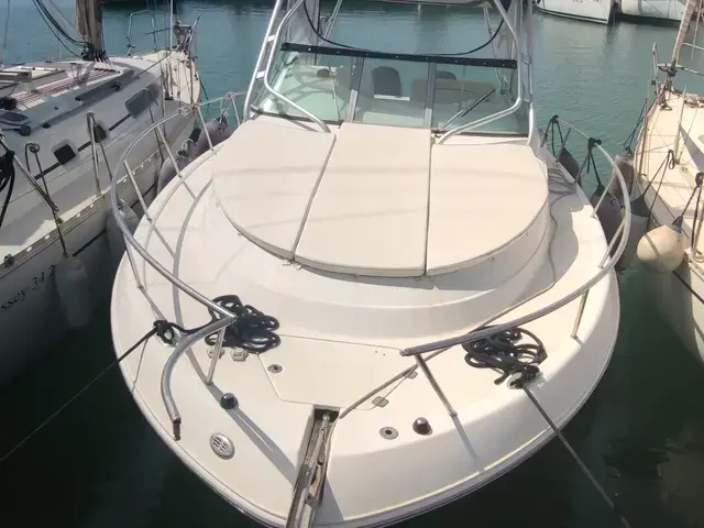 Robalo 300