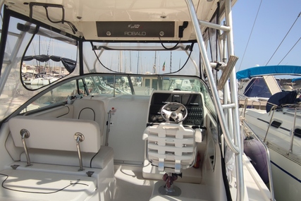 Robalo 300