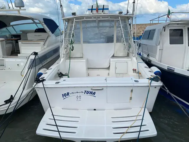 Luhrs 28