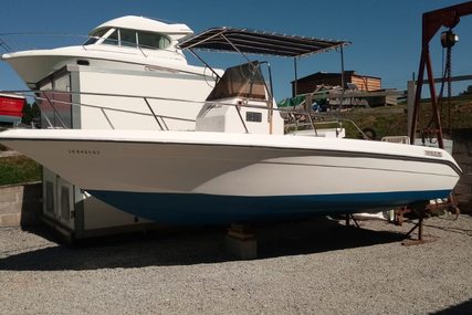 Kelt 203 SUNBIRD SWL