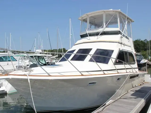 Egg Harbor 33 Flybridge