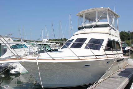 Egg Harbor 33 Flybridge