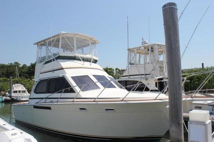 Egg Harbor 33 Flybridge