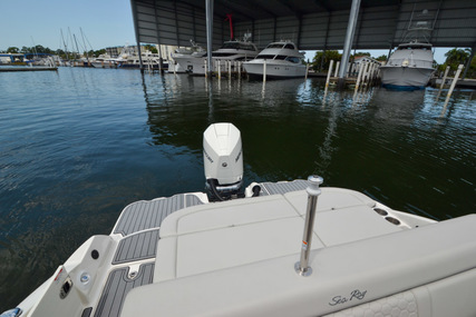 Sea Ray 270 SDX-OB