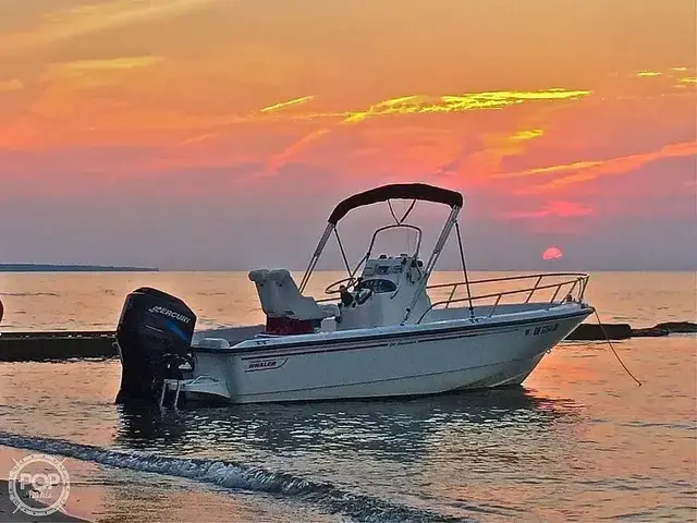 Boston Whaler Nantucket 19NTK