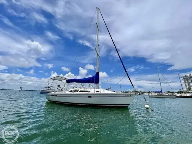 Catalina 28 MKII Wing