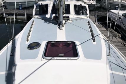 Cygnus Marine Scanyacht 290