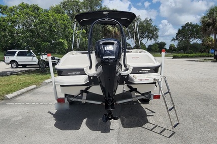 Bayliner E18 Element