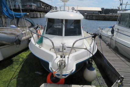 Arvor 230