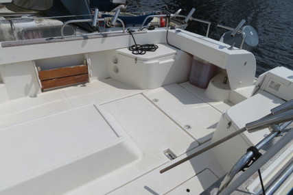 Arvor 230