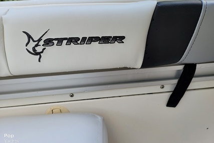 Seaswirl Striper 2101 DC