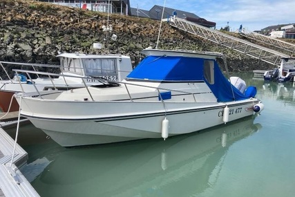 Boston Whaler 25 Revenge