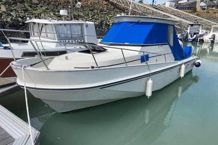 Boston Whaler 25 Revenge