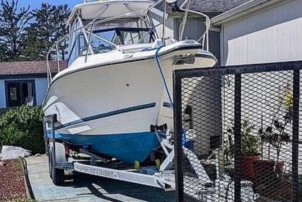 Bayliner Trophy 2352 WA