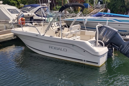 Robalo R180