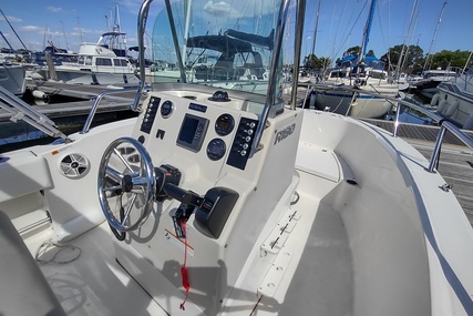 Robalo R180