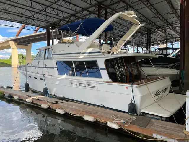 Bayliner 4550 Motoryacht