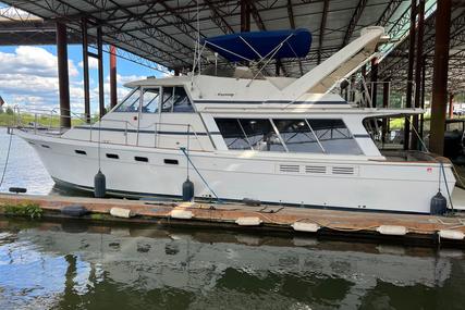 Bayliner 4550 Motoryacht