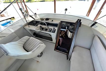 Bayliner 4550 Motoryacht