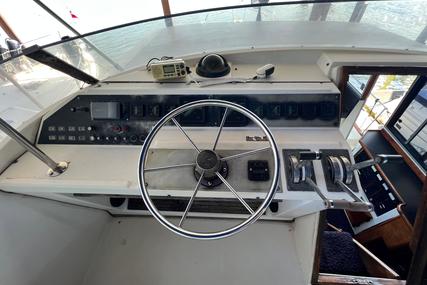 Bayliner 4550 Motoryacht