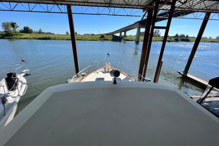 Bayliner 4550 Motoryacht