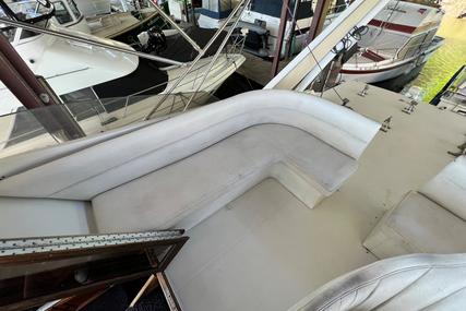 Bayliner 4550 Motoryacht