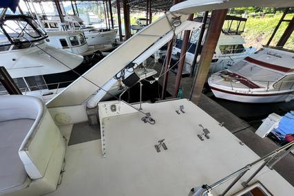 Bayliner 4550 Motoryacht