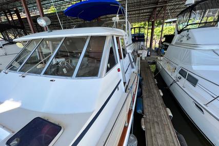 Bayliner 4550 Motoryacht