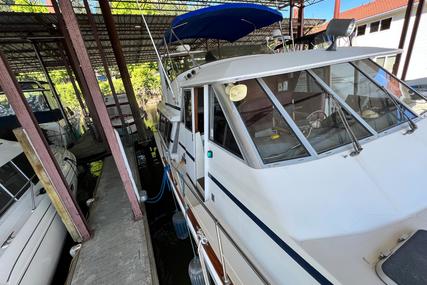 Bayliner 4550 Motoryacht