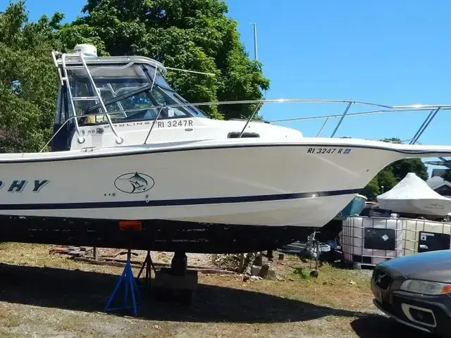 Bayliner Trophy 25