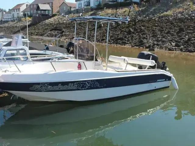 Crownline Bayside 180 Open