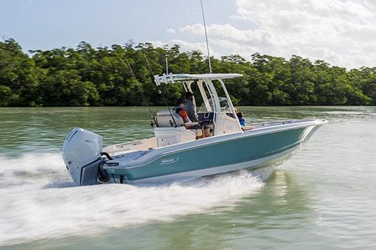 Boston Whaler 250 Dauntless