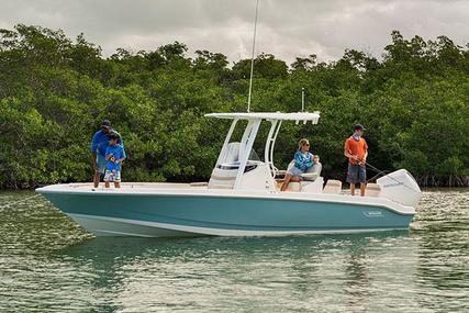 Boston Whaler 250 Dauntless