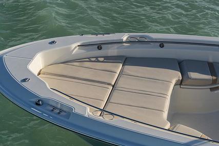 Boston Whaler 250 Dauntless