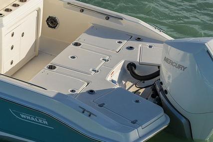 Boston Whaler 250 Dauntless