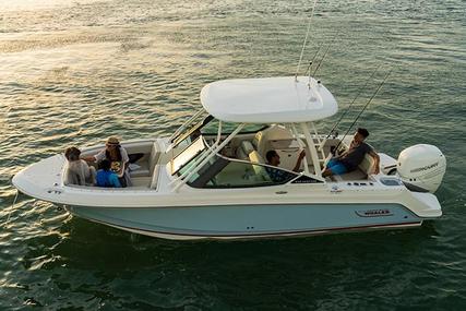 Boston Whaler 240 Vantage