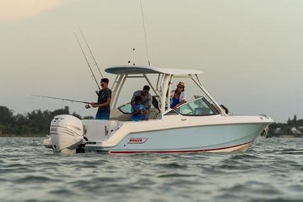 Boston Whaler 240 Vantage