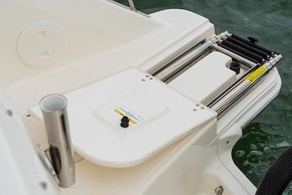 Boston Whaler 240 Vantage