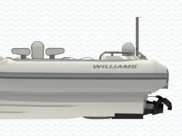 Williams Boats Diesel Jet 445