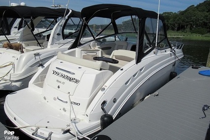 Chaparral 250 Cruiser Signature