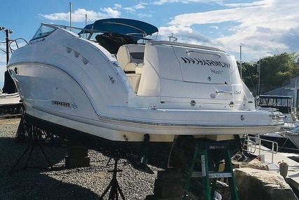 Chaparral 250 Cruiser Signature