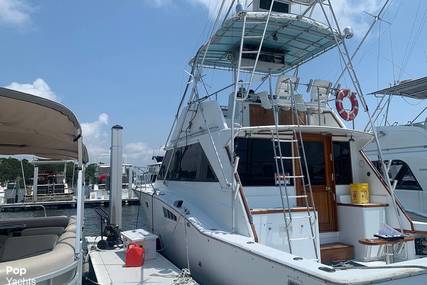 Chris Craft Tournament Sportfish